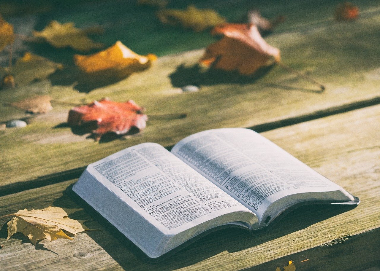Bible-open-on-a-table-with-leaves